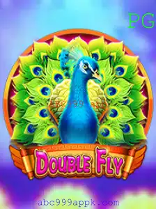 DoubleFly: Explorando o Fascinante Mundo do Novo Jogo no ABC999 App